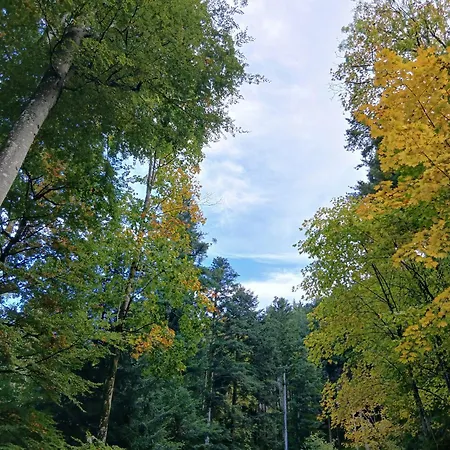 La Maison Bleue-urbes * Urbès